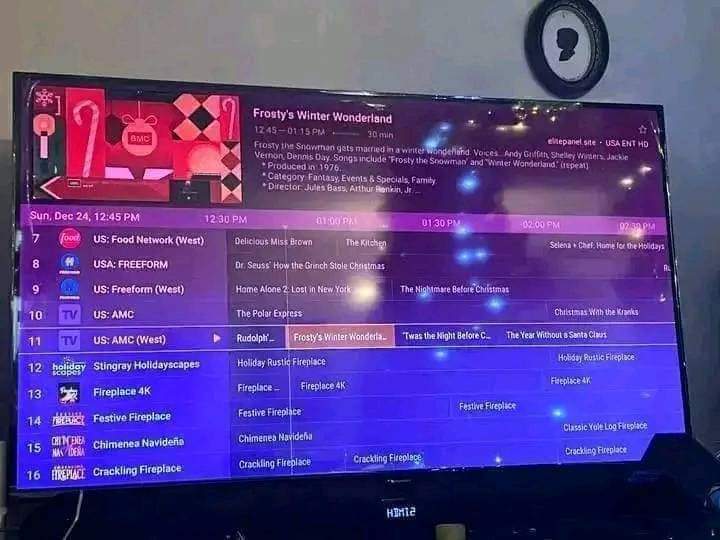 Premium IPTV Subscription